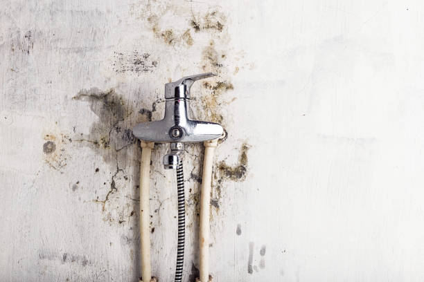 Best Professional Mold Removal  in Lionville, PA