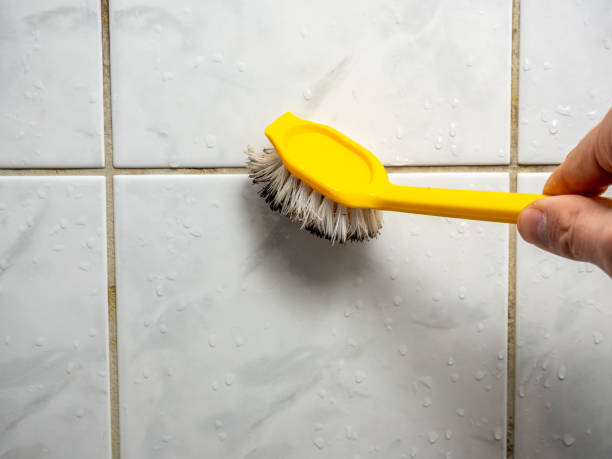 Best Residential Mold Removal  in Lionville, PA