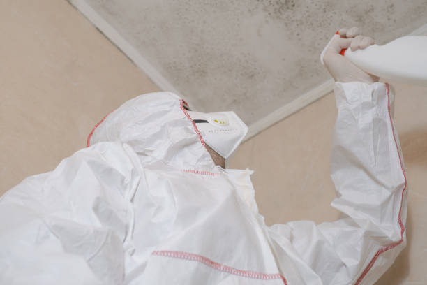 Best Mold Remediation  in Lionville, PA