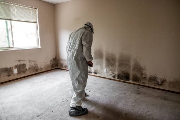 Crawl Space Mold Removal in Lionville, PA
